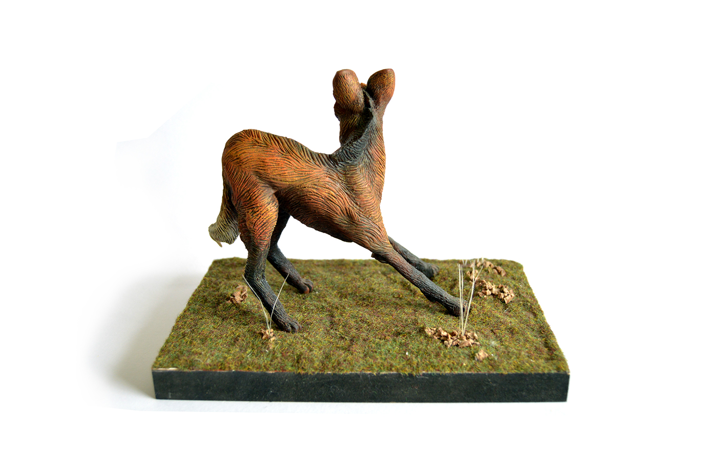 maned wolf animal sculpture sculpey super sculpey wolf model