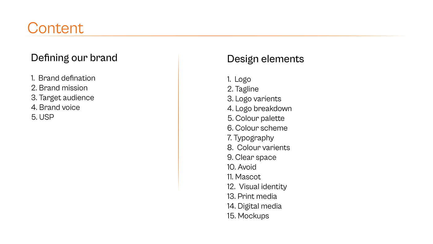 brand identity visual identity brand visual identity Brand Design branding 