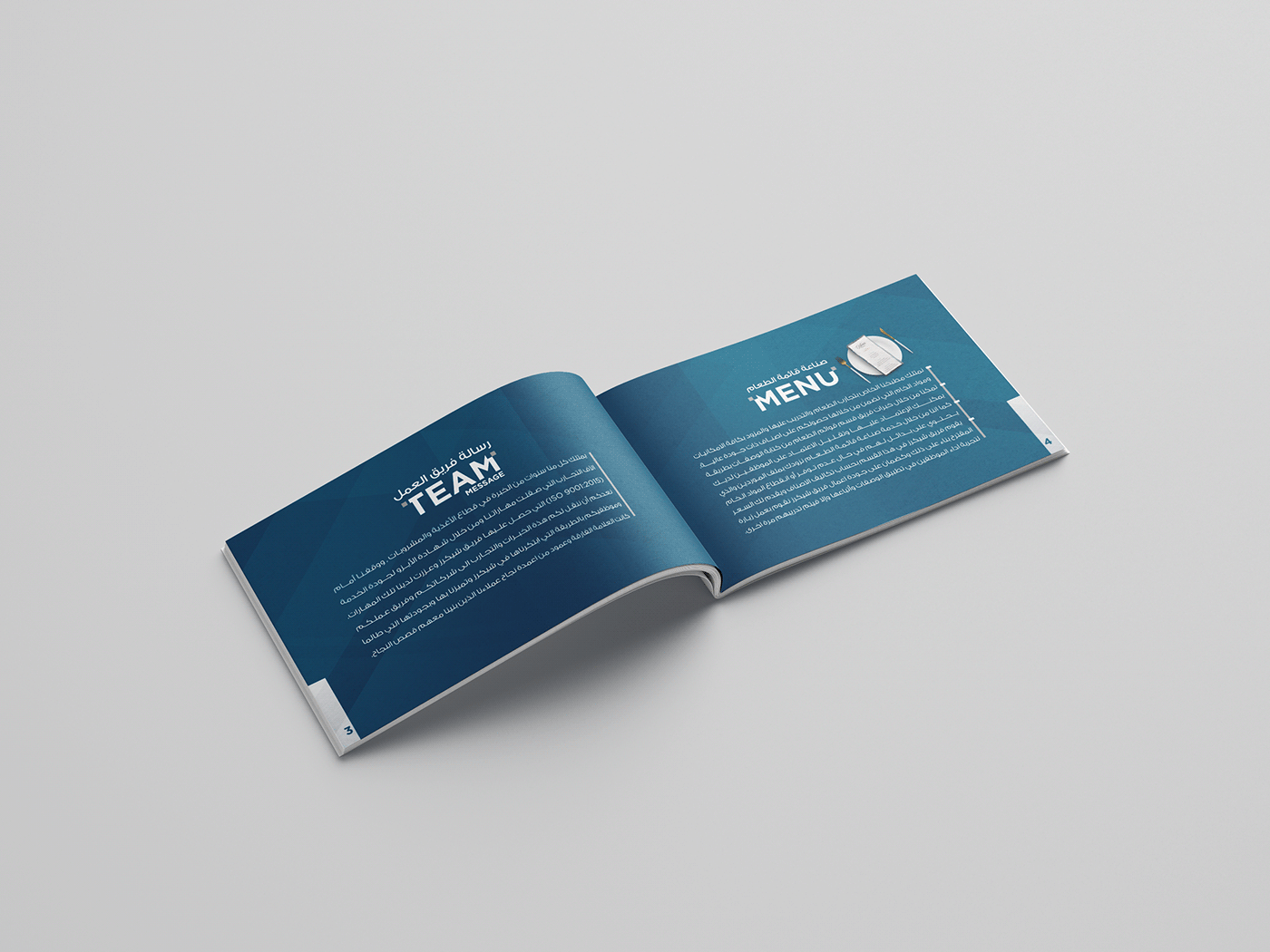 book brand identity company company profile corporate illustrations Mockup print print design  profile