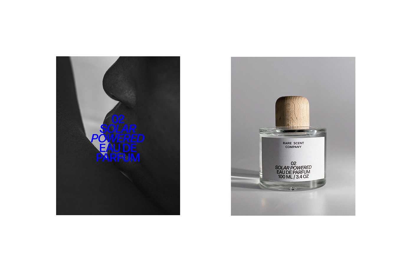 branding  graphic design  Logo Design Packaging perfume Photography  storytelling   visual identity