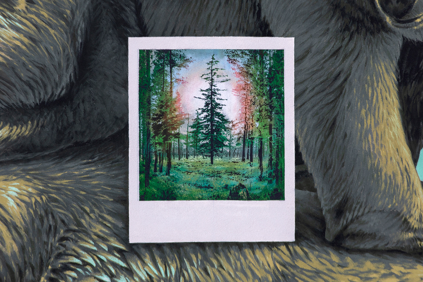 bear forest iceberg Photography pine POLAROID sea streetart Whale