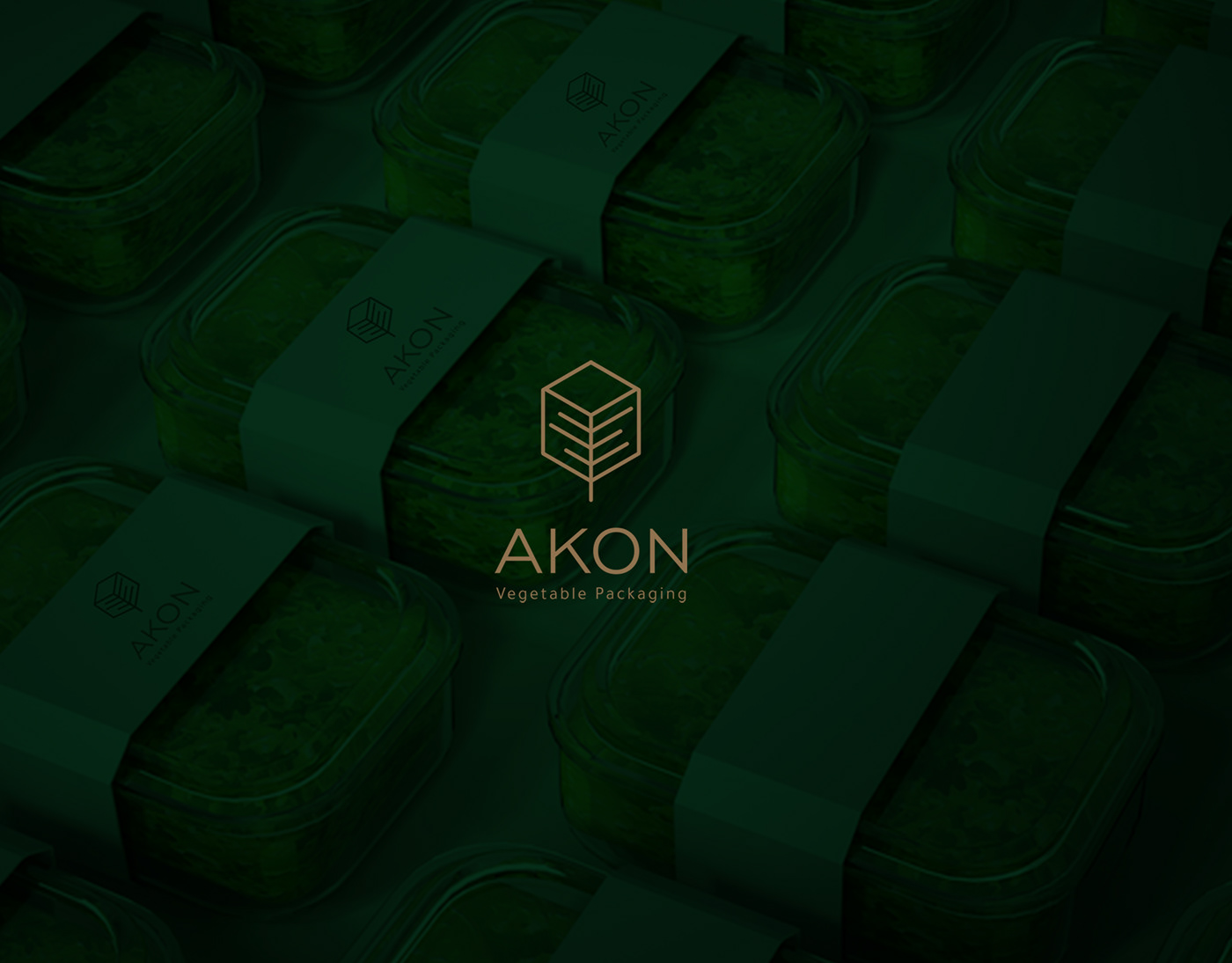 Akon brabd design Esmat logo Packaging professional vegetable