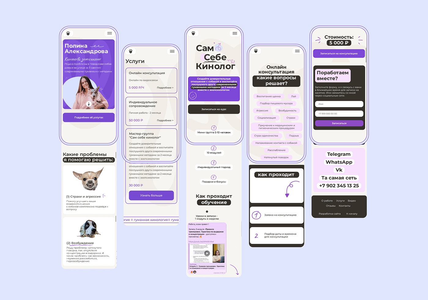 Web Design  landing page brand identity branding  Packaging mobile blue purple pink logo