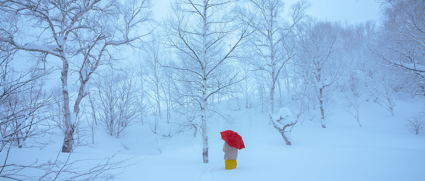 artwork japan Japanese Culture Landscape Nature Photography  snow Travel Tree  winter