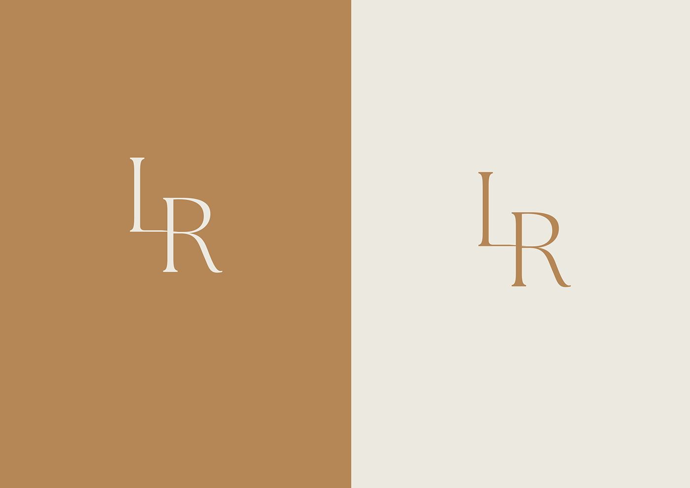 branding  design identity logo Poster Design tipografia typography  