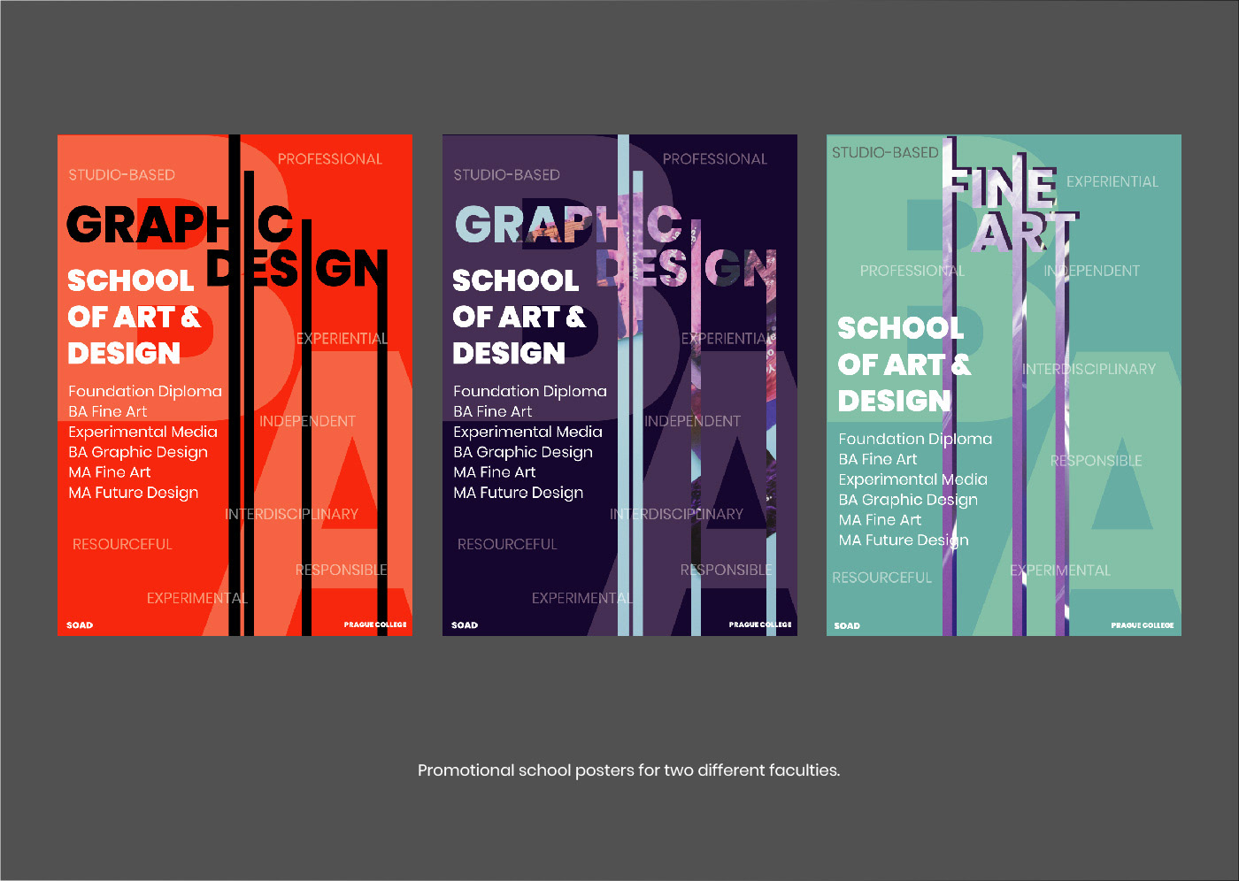adobe illustrator Adobe InDesign graphic design  posters Promotion schoolproject