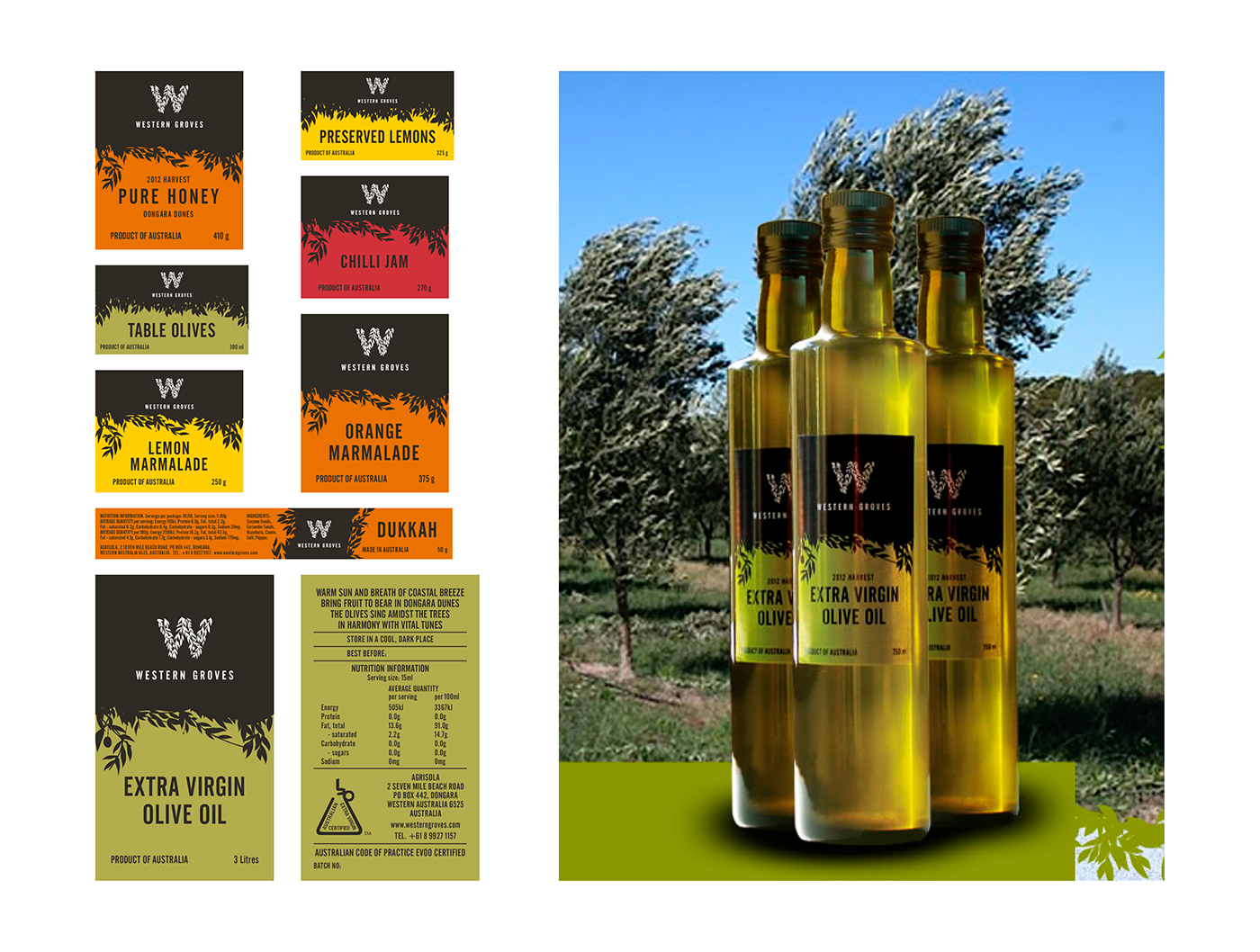 Olive Oil honey Packaging graphic design  branding  identity Display