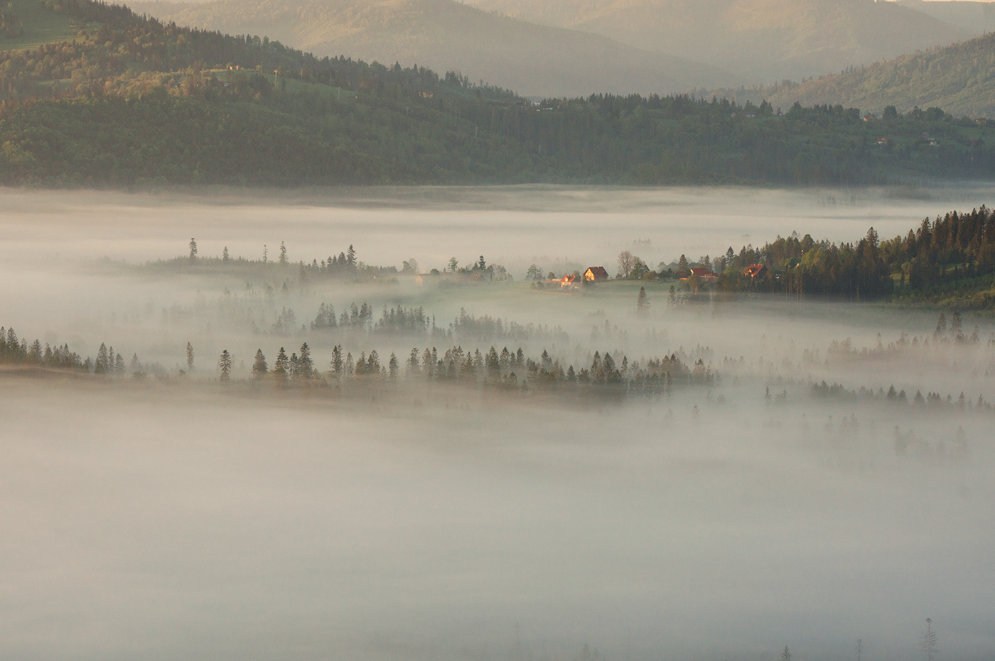 valle mist fog Sunrise sunbeams forest Landscape trees