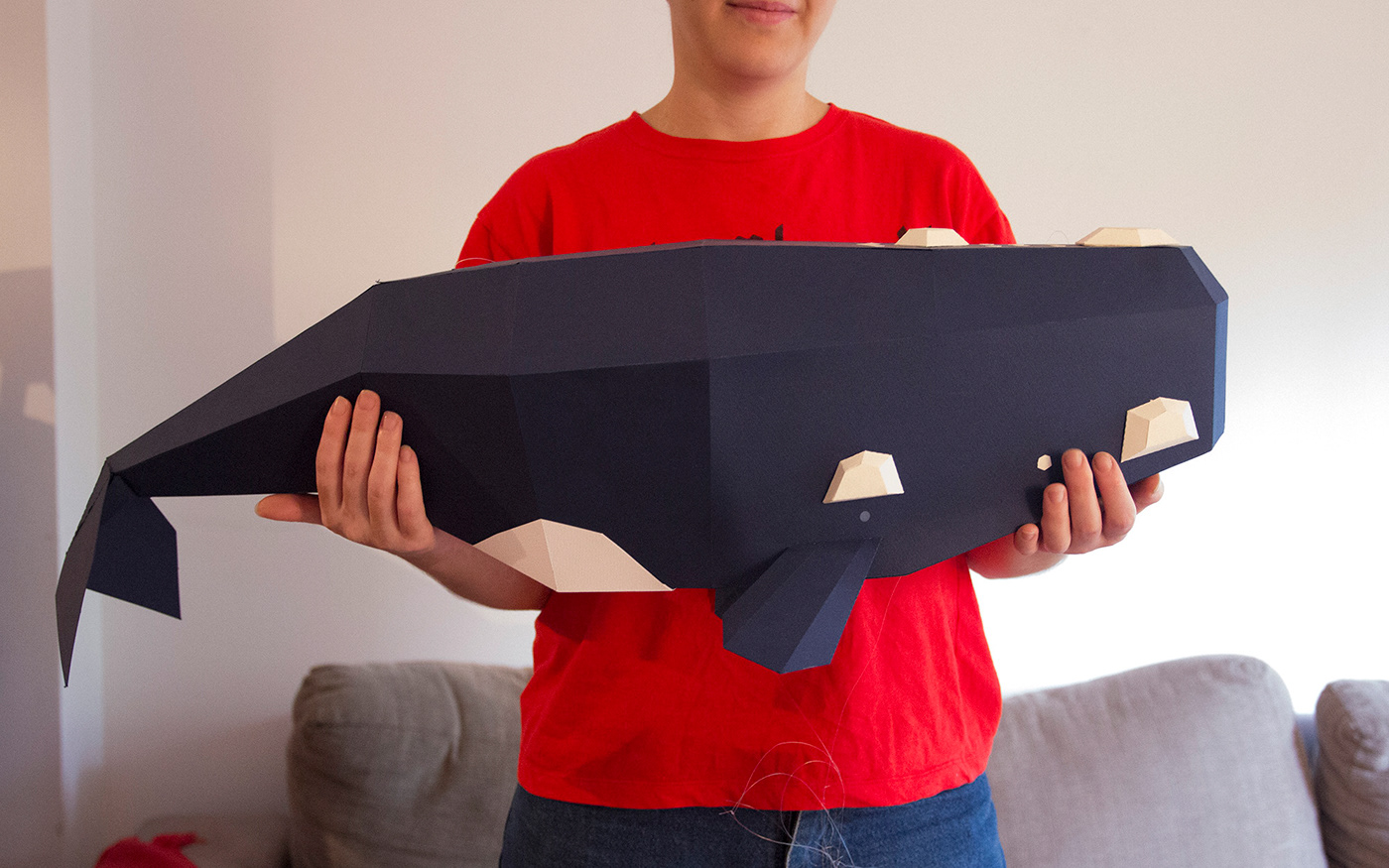 papercraft lowpoly paperwhales dolphin humpbackwhale papertoys paperkits DIY orca ballenafrancaaustral