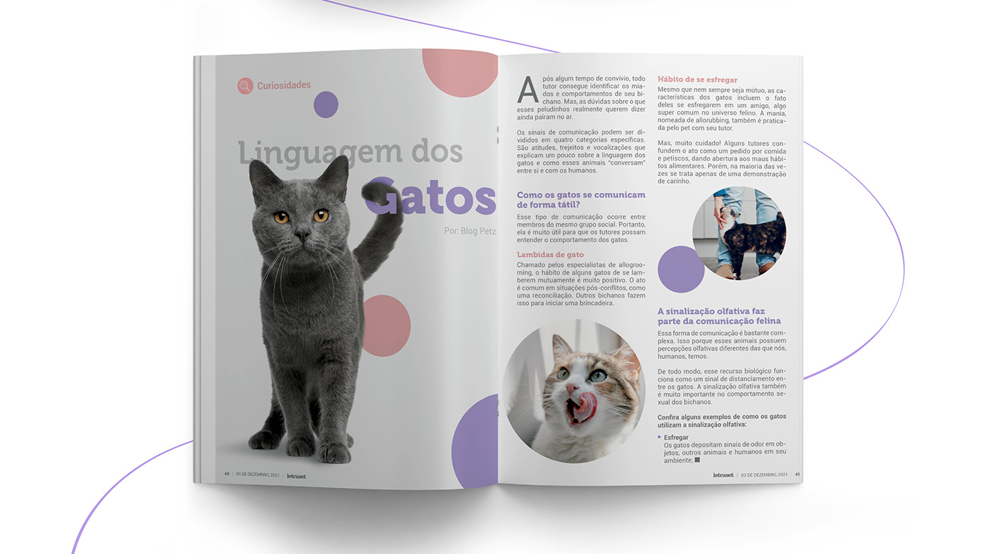 animal cachorro Cat Digital Art  dog editorial Gato letraset magazine revista