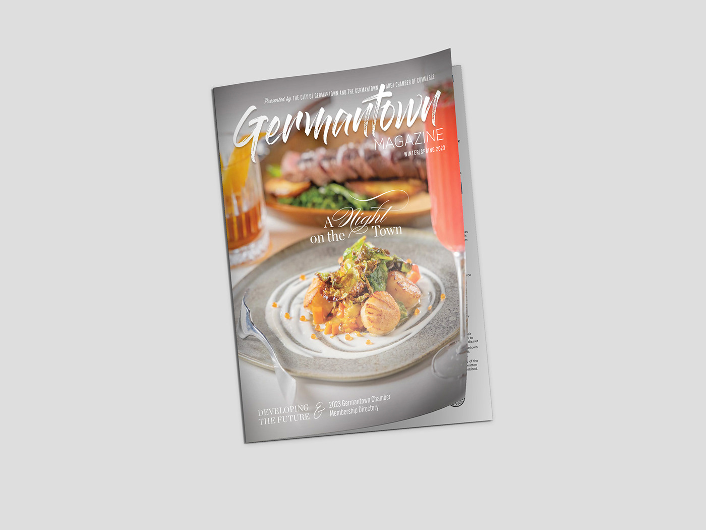 Magazine design magazine Layout Design print editorial