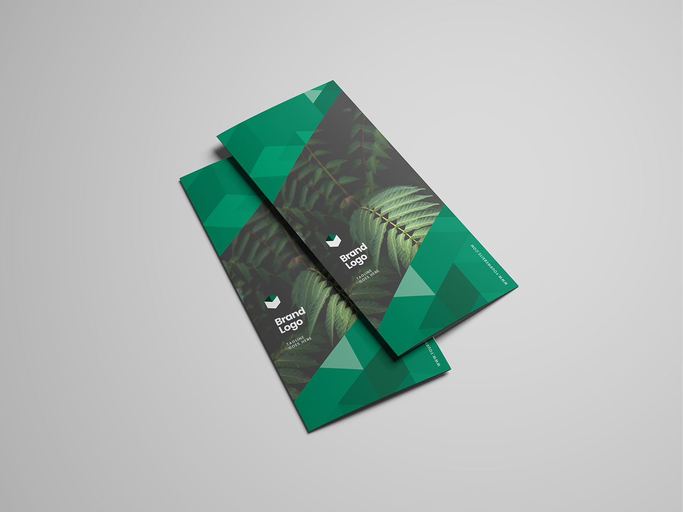 brochure editorial green minimal pattern trifold
