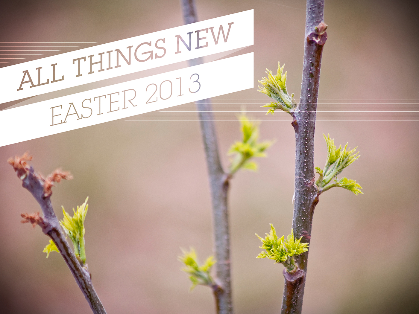 all things new Easter Sermon series egg Hunt spring green beginning Start over bunny Holiday