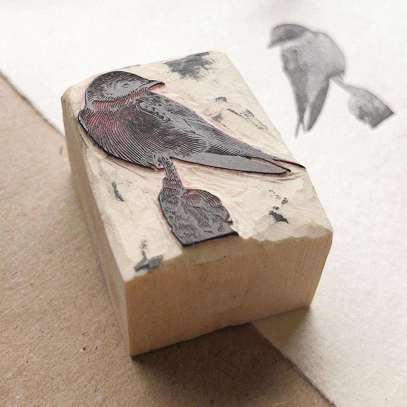 bird engraving ILLUSTRATION  Nature relief print wood engraving
