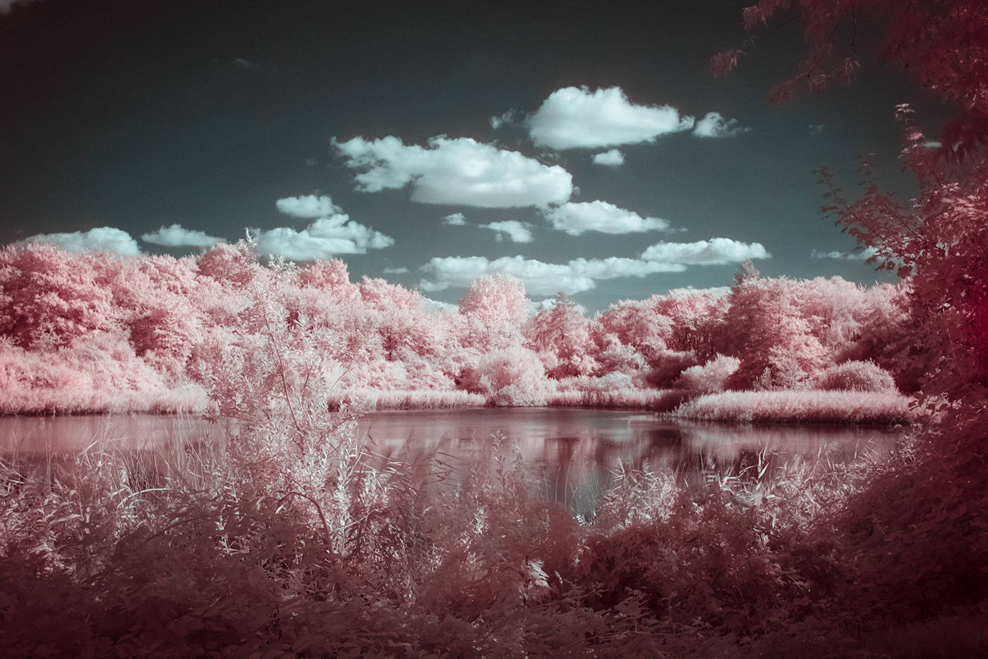 720nm fujifilm infrared infrared photography Landscape Nature Photography  X-T4