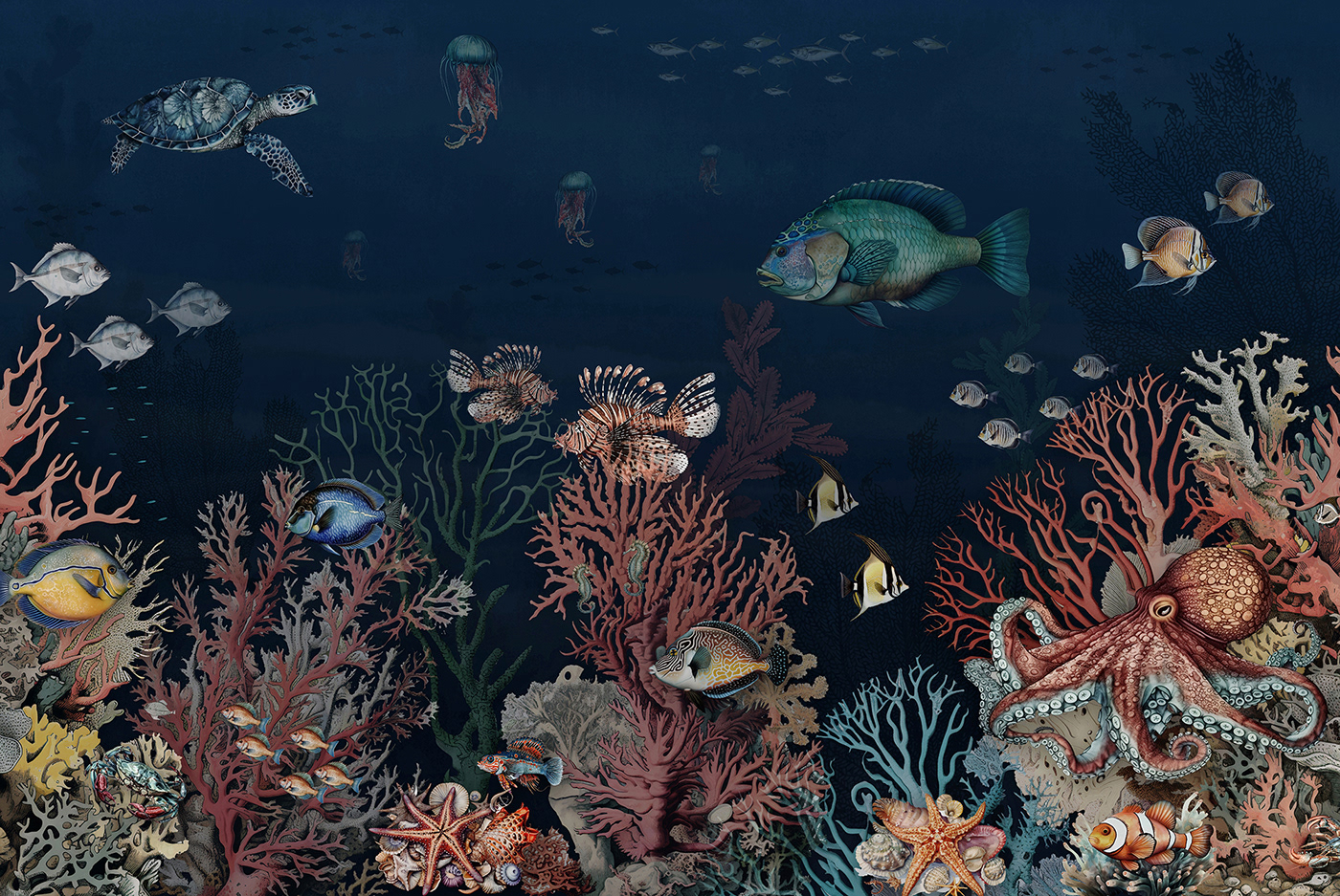 reef coral Nature fish underwater Ocean blue Drawing  Digital Art  sea