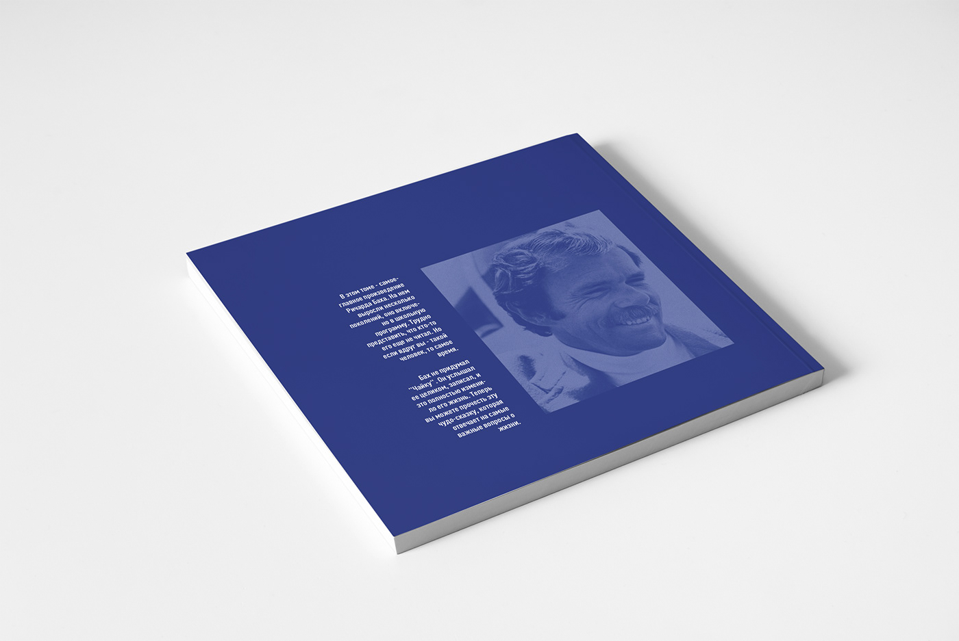 book book design poligrafic design grafic design design Jonatan Livingston Seagull
