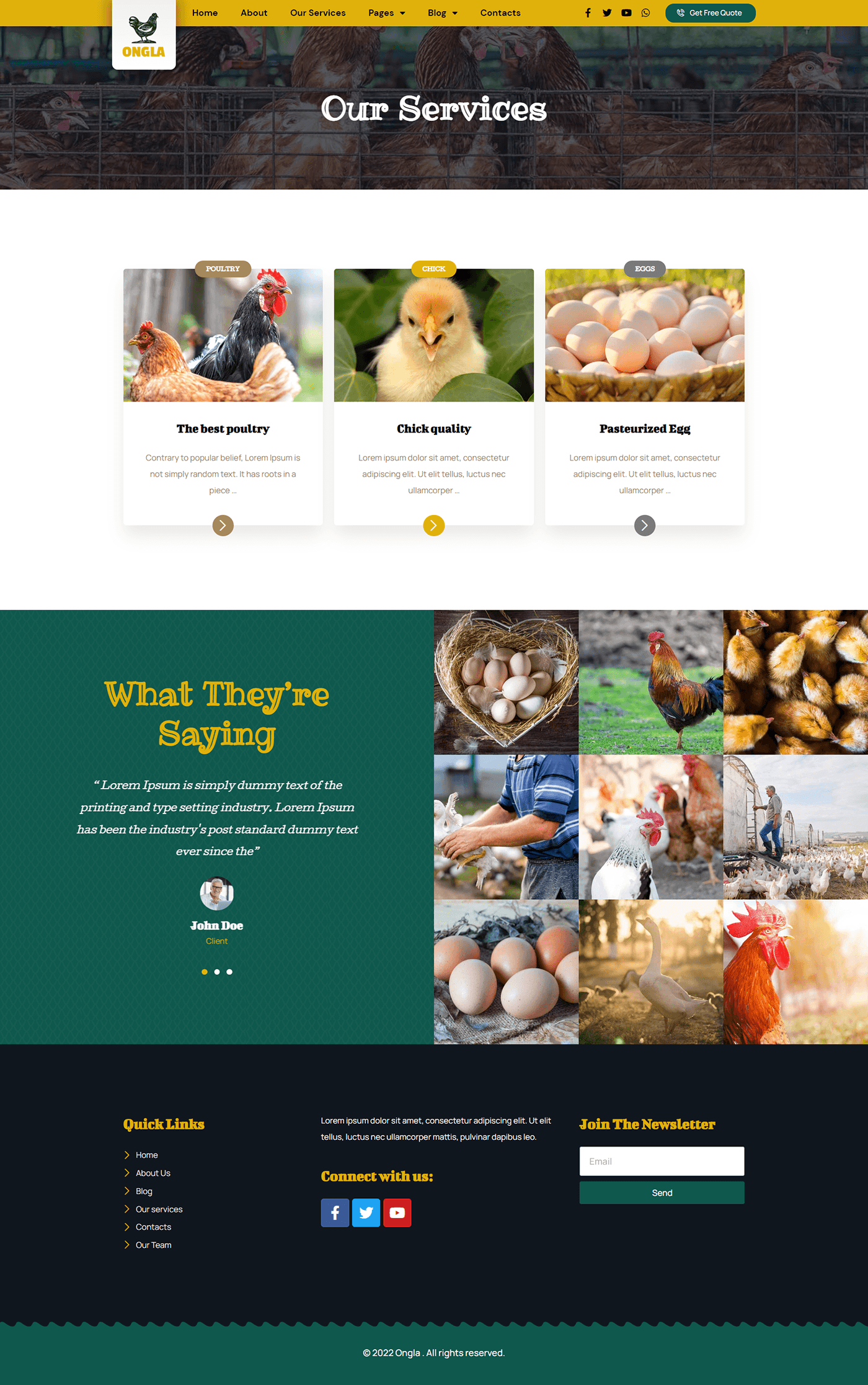 poultry farming agriculture Livestock Agribusiness Web Design  animal husbandry farm management  Food production organic farming sustainable agriculture