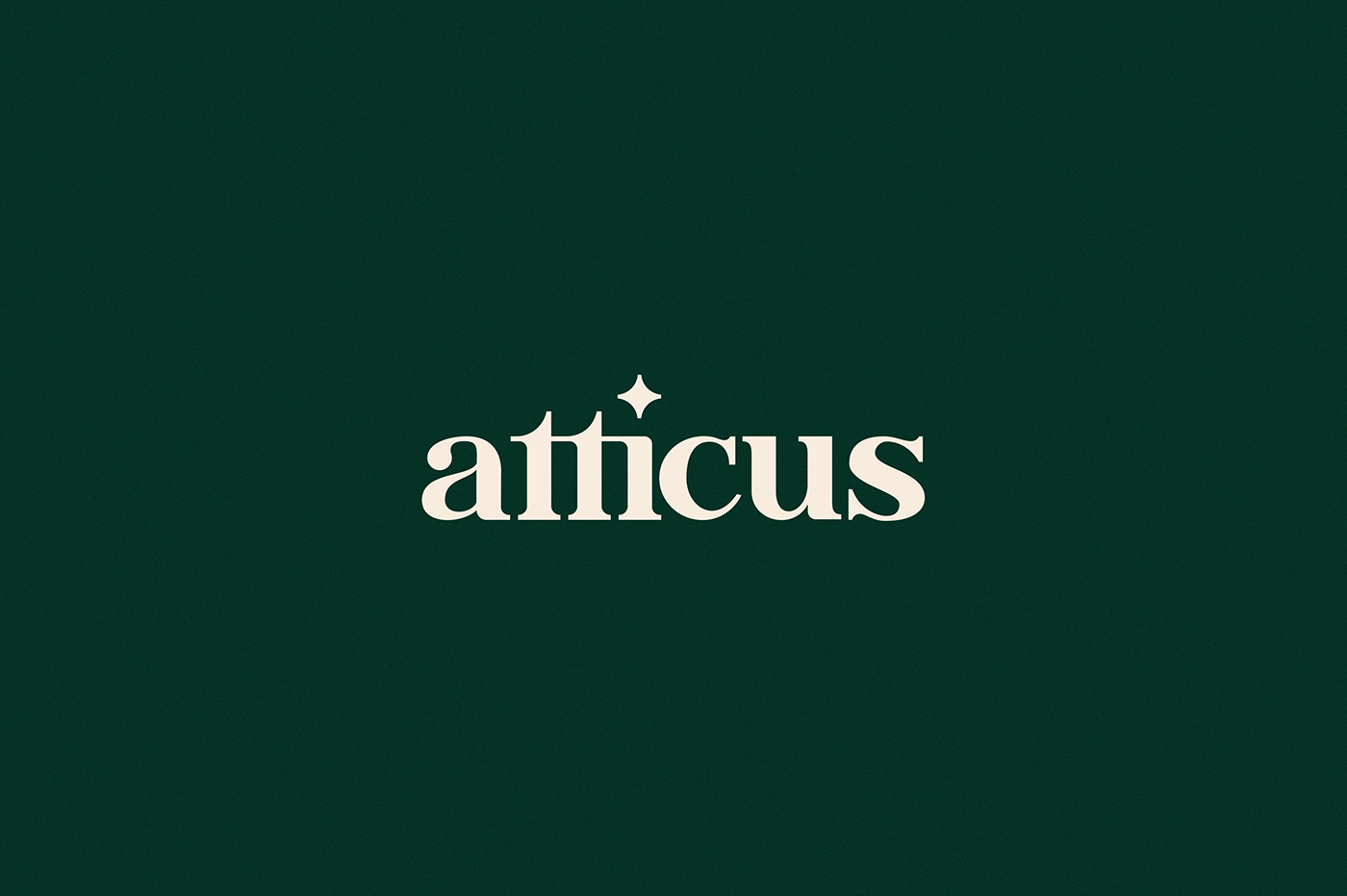 law firm legal lawyer Justice branding  Website atticus California Los Angeles