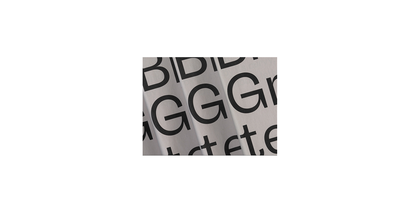 Typeface Typespecimen ILLUSTRATION  bird grotesk font sans serif adobeawards