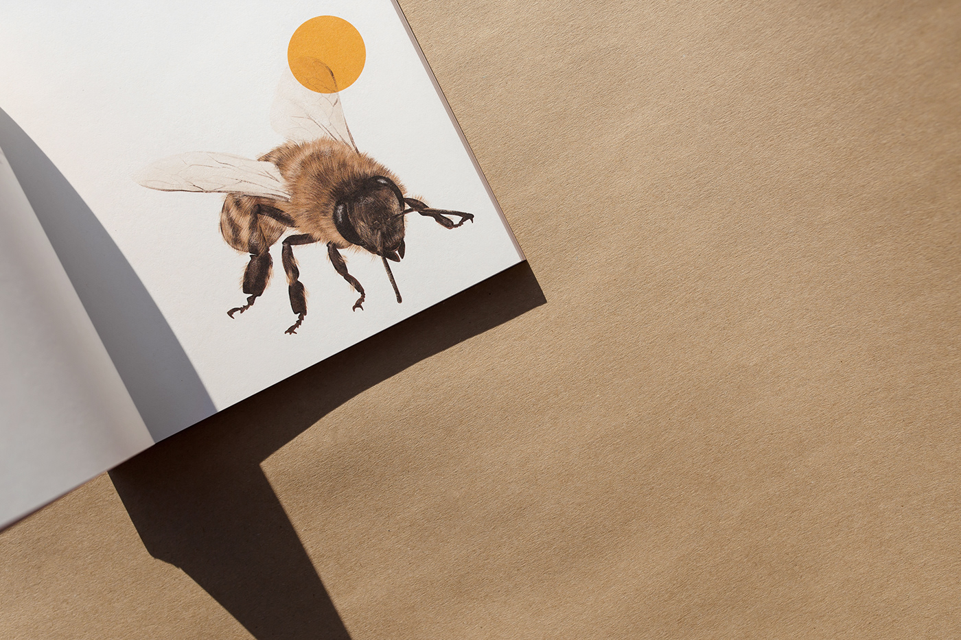bee illustrations book design book illlustration Book Layout