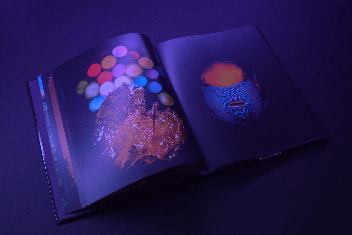 blackwaterphotography Bookdesign bookstagram coffeetablebook graphicdesign underthesea wirsindartisten