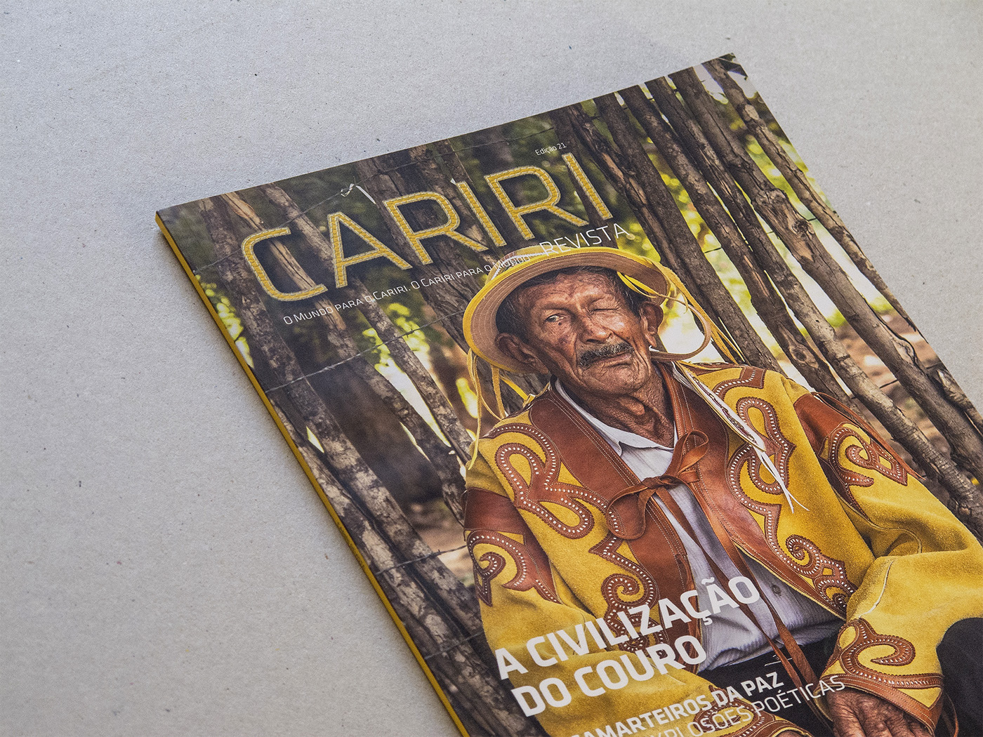 Adobe Portfolio magazine revista cariri ceará Layout publisher publishing   InDesign editorial