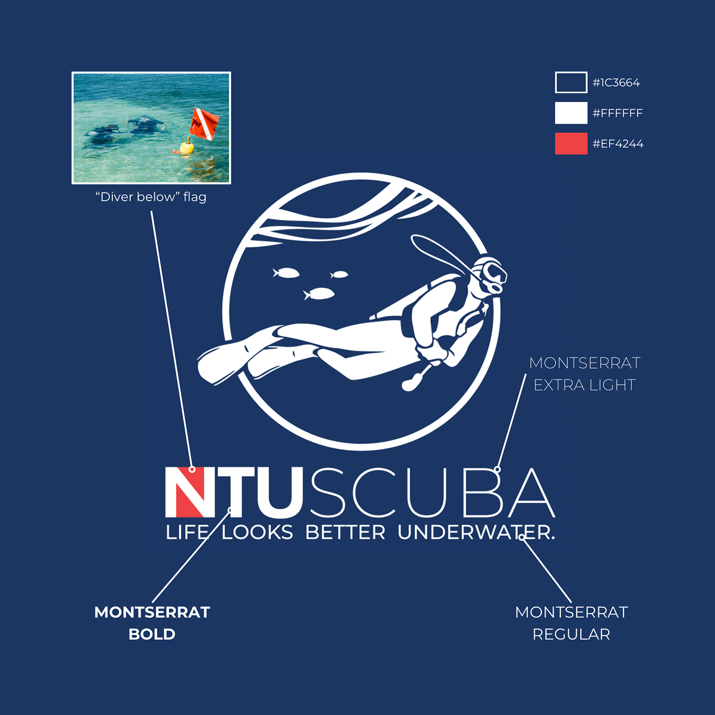 scuba diving logo Logo Design diver diving club Illustrator branding  scuba diving club rebranding