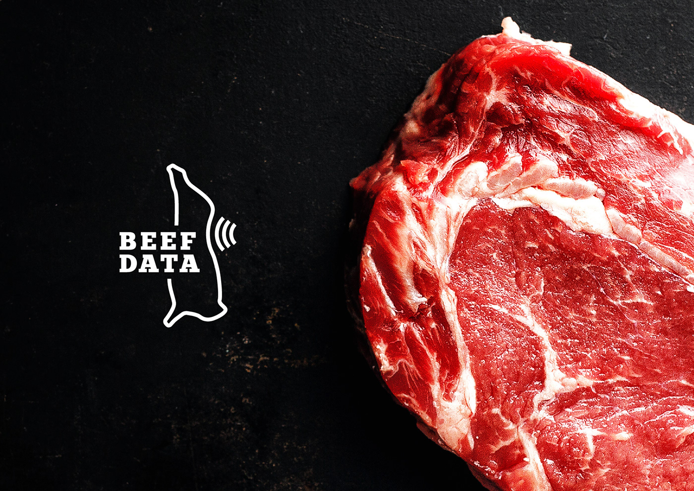 animals beef brand Carcass design logo meat paraguay