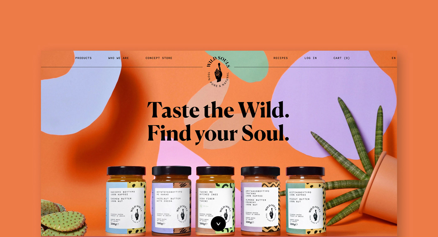 brand colorful Ecommerce ILLUSTRATION  payful uxui vegan Webdesign