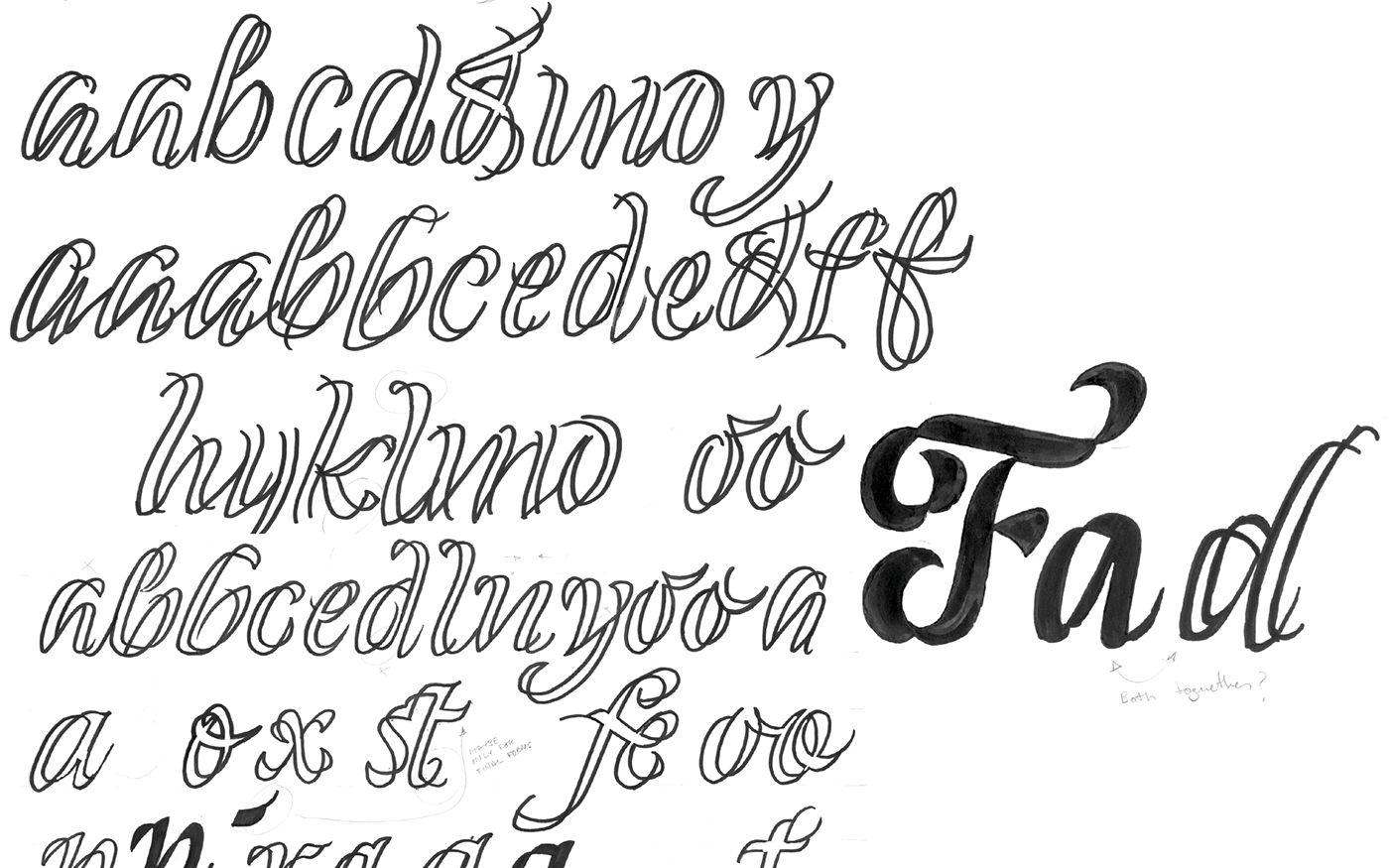 Typeface font stencil Calligraphy   broadnib type design flourishes alternates palomares baroque