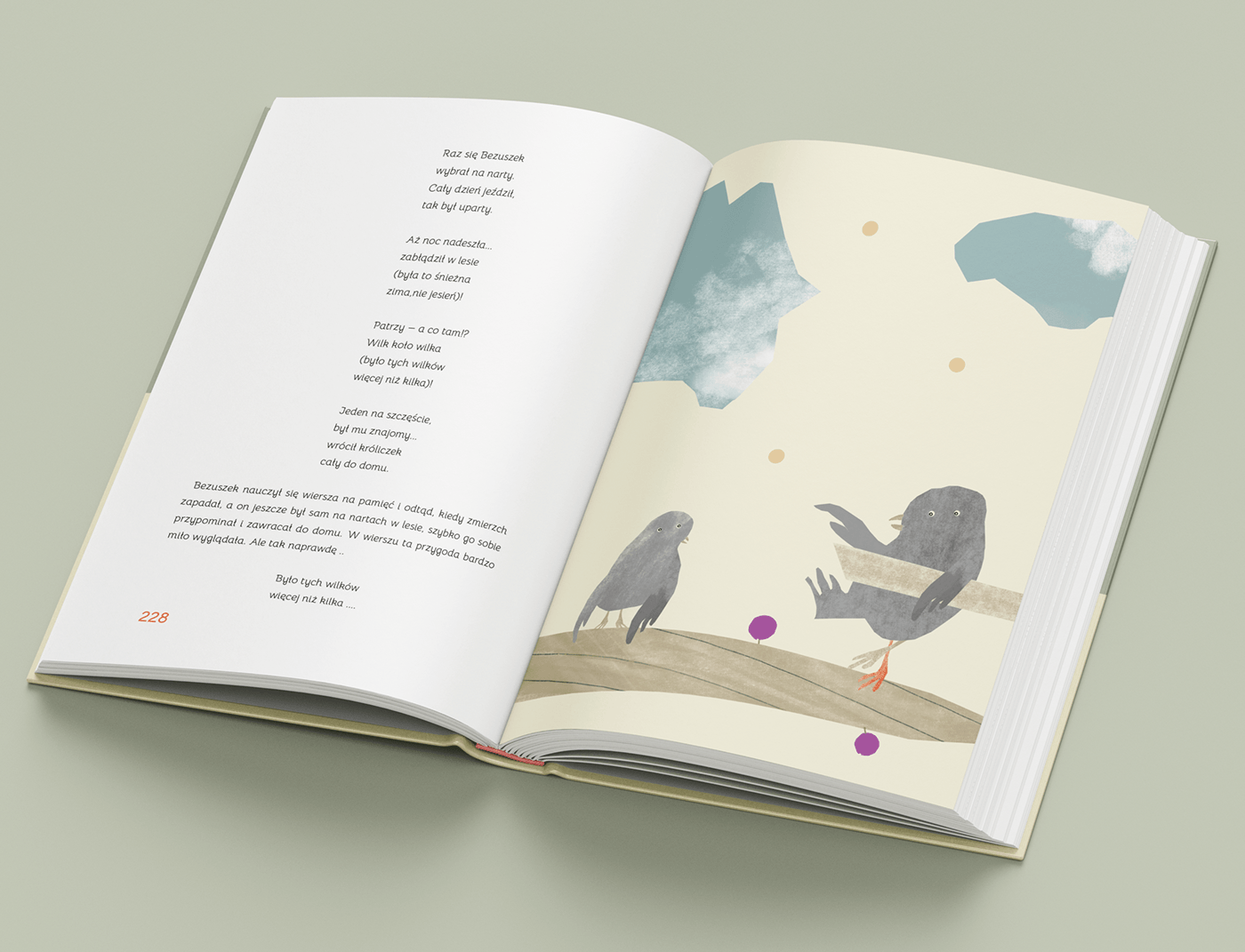 ILLUSTRATION  design book książka ilustracja children's book book cover okładka Drawing  zwierzęta