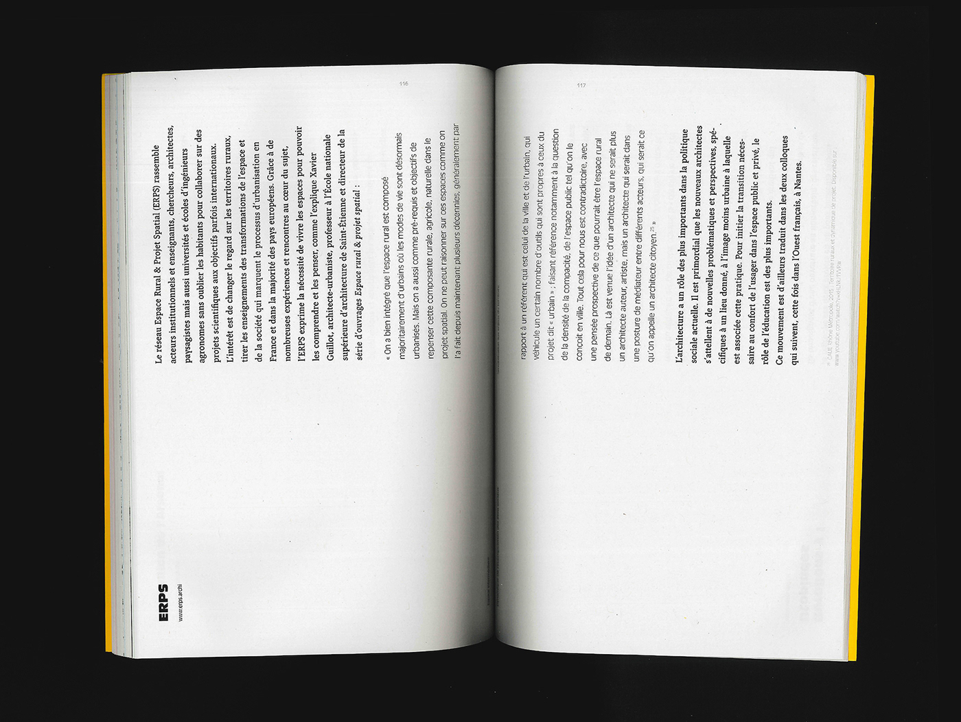 tesis rural print type kitch brutal Mémoire recherche campagne Anti-Design