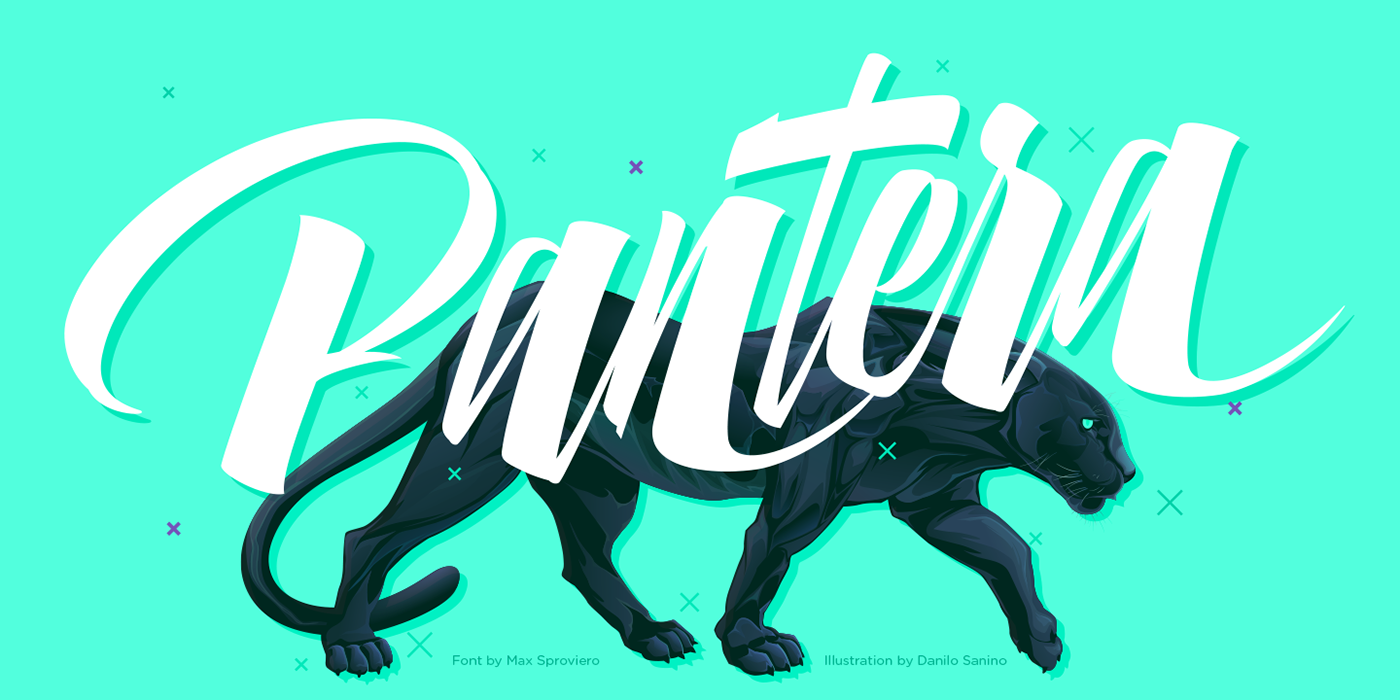 typography   Calligraphy   lettering panther font