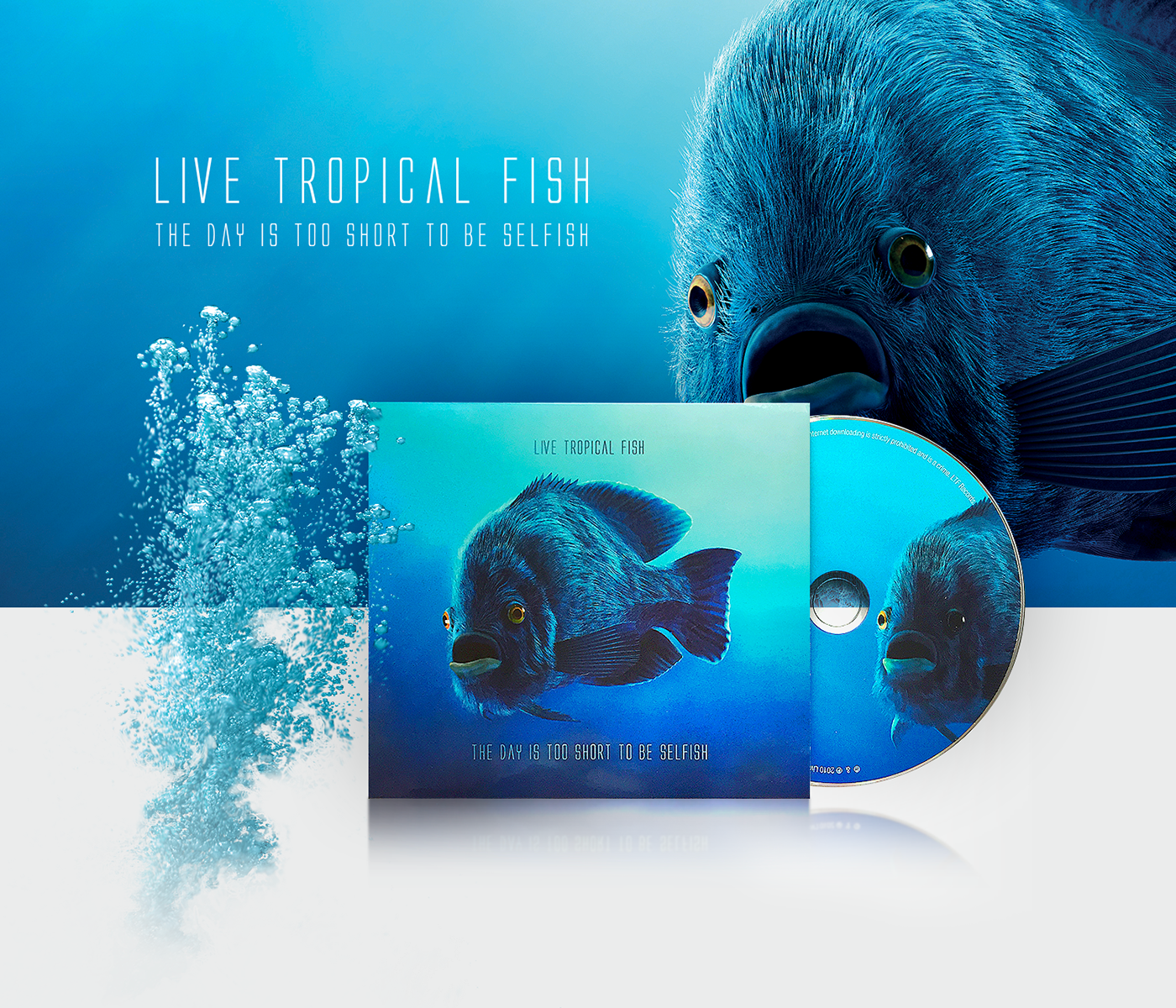 music CD packaging graphic design  fish computer graphics jazz Funk Acid Jazz