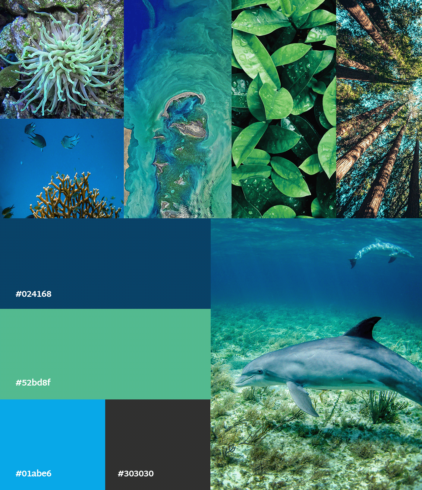 ambiental brand branding  consultoria green identidade visual identity Ocean Plant biology