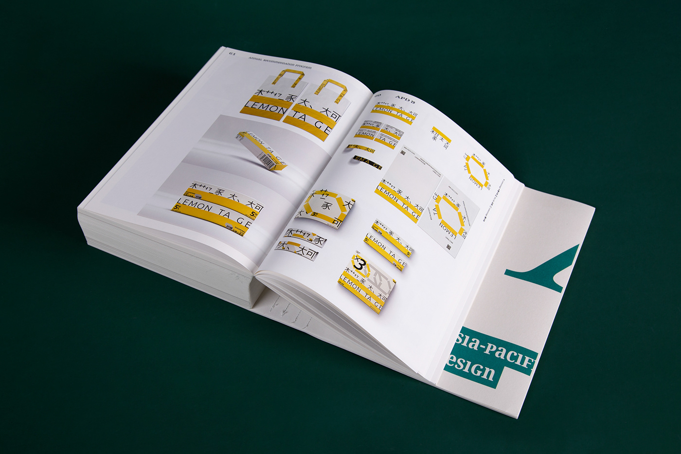 publishing   print editorial design  book typography   visual identity book cover identity design book publication 