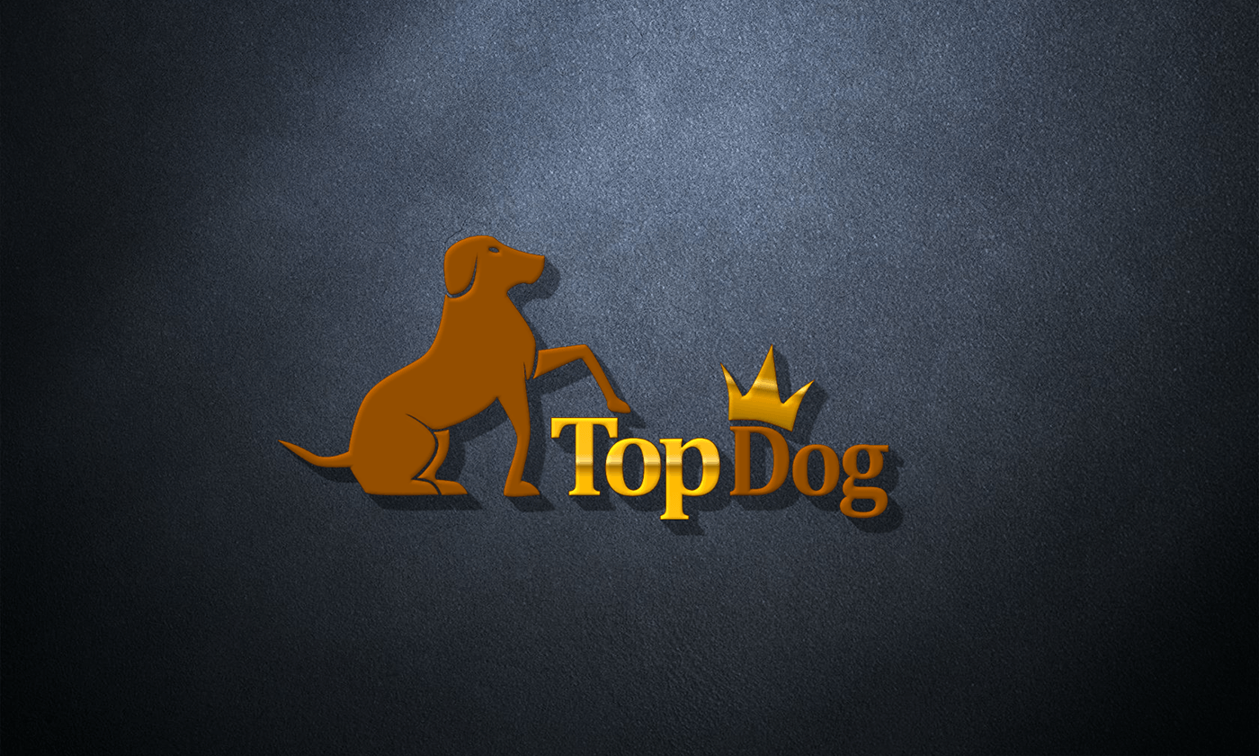 This design was intended for a dog shop which provides top class dog in the city.