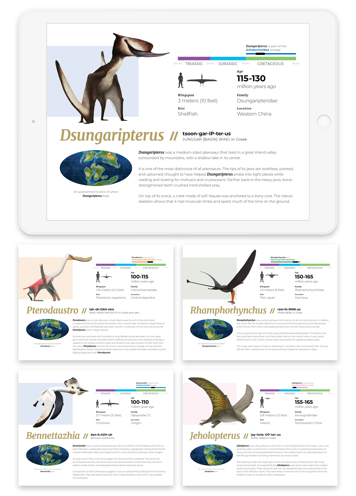 Fossil paleontology science Nature museum exhibit animal creature scientific illustration infographic