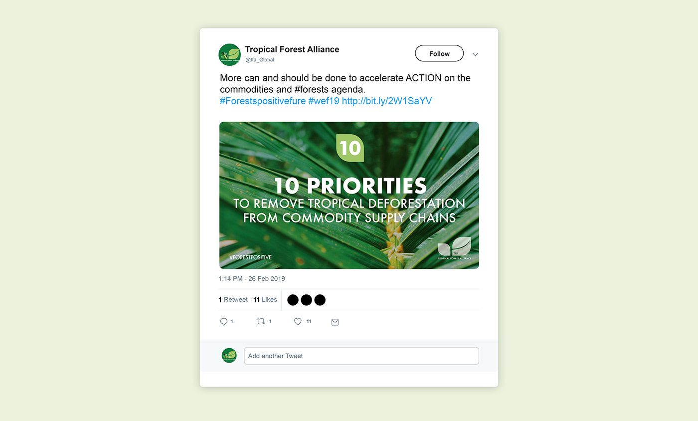animated gif social media tropical forest twitter
