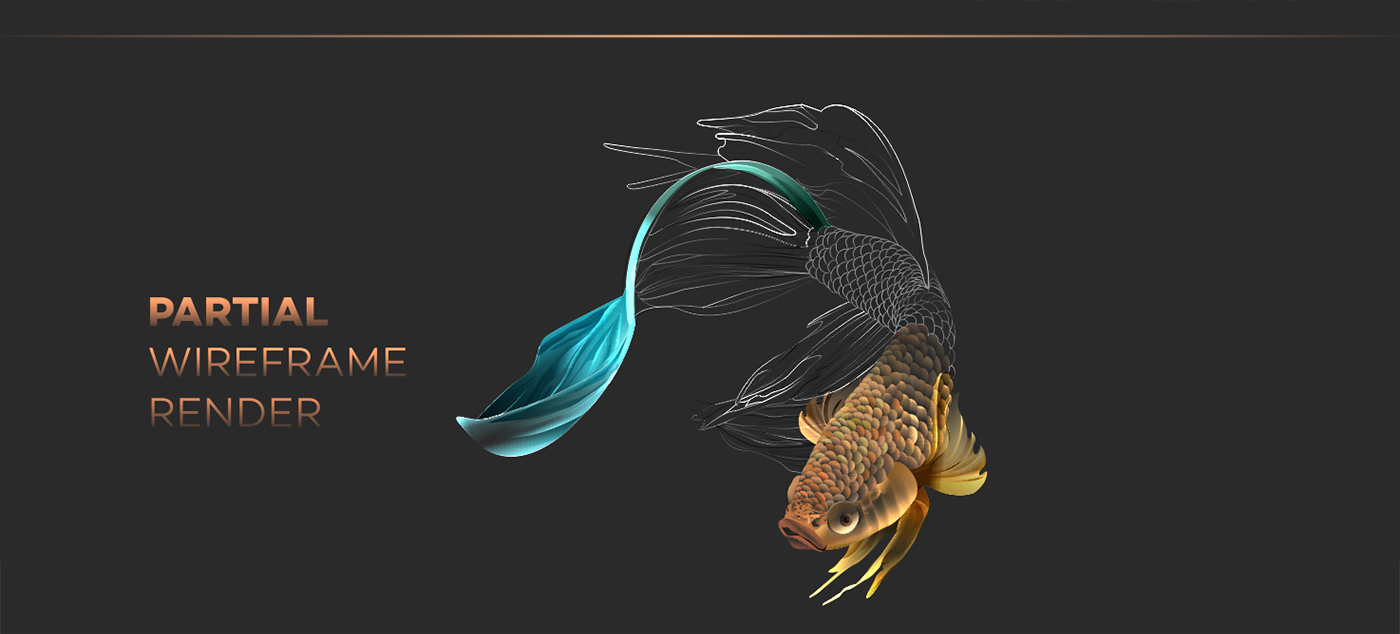 Betta environment Fighter fish fish gold colors free free wallpaper free art Free Background vector Ocean poster Nature wacom
