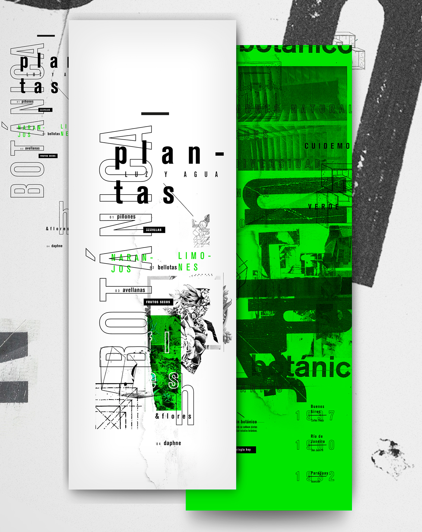 longi longinotti tipografia typedesign Imagen y texto design diseño gráfico