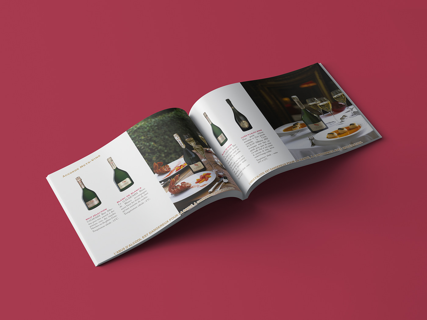alcohol alcool brochure Champagne edition editorial design  graphic design  Layout luxe mise en page