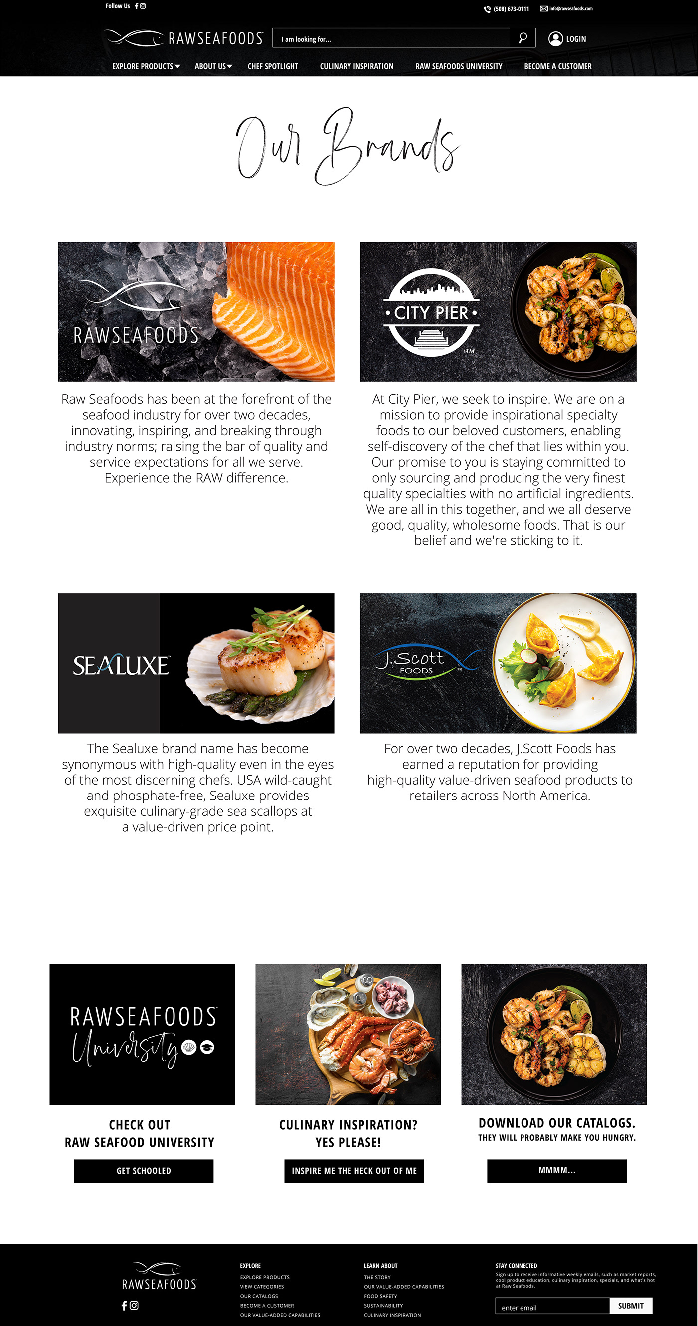 Creative Direction  UX design Website Web Design  FOOD INDUSTRY Food Industry Branding brand identity seafood