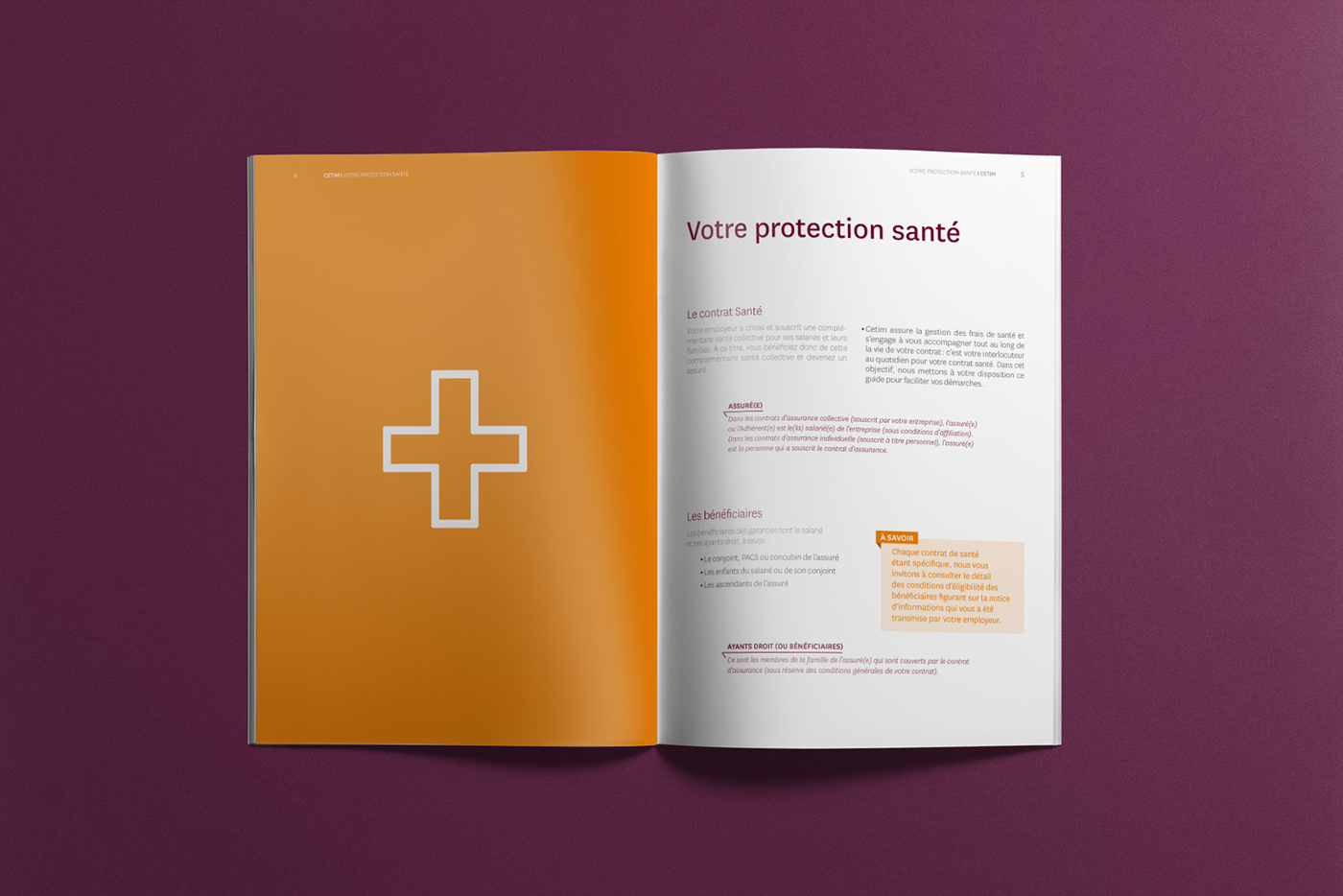 graphisme institutionnel assurance mise en page edition brochure pictogrammes design graphique