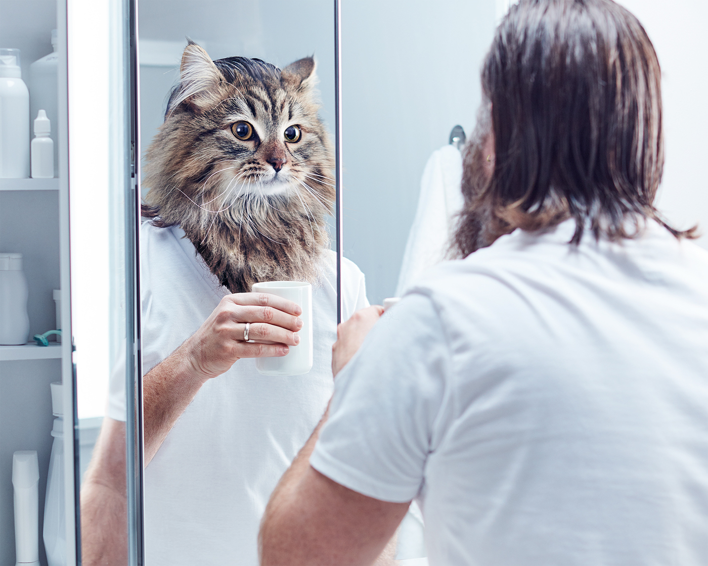 Pet dog Cat healthcare portrait bathroom mirror animal head headswap