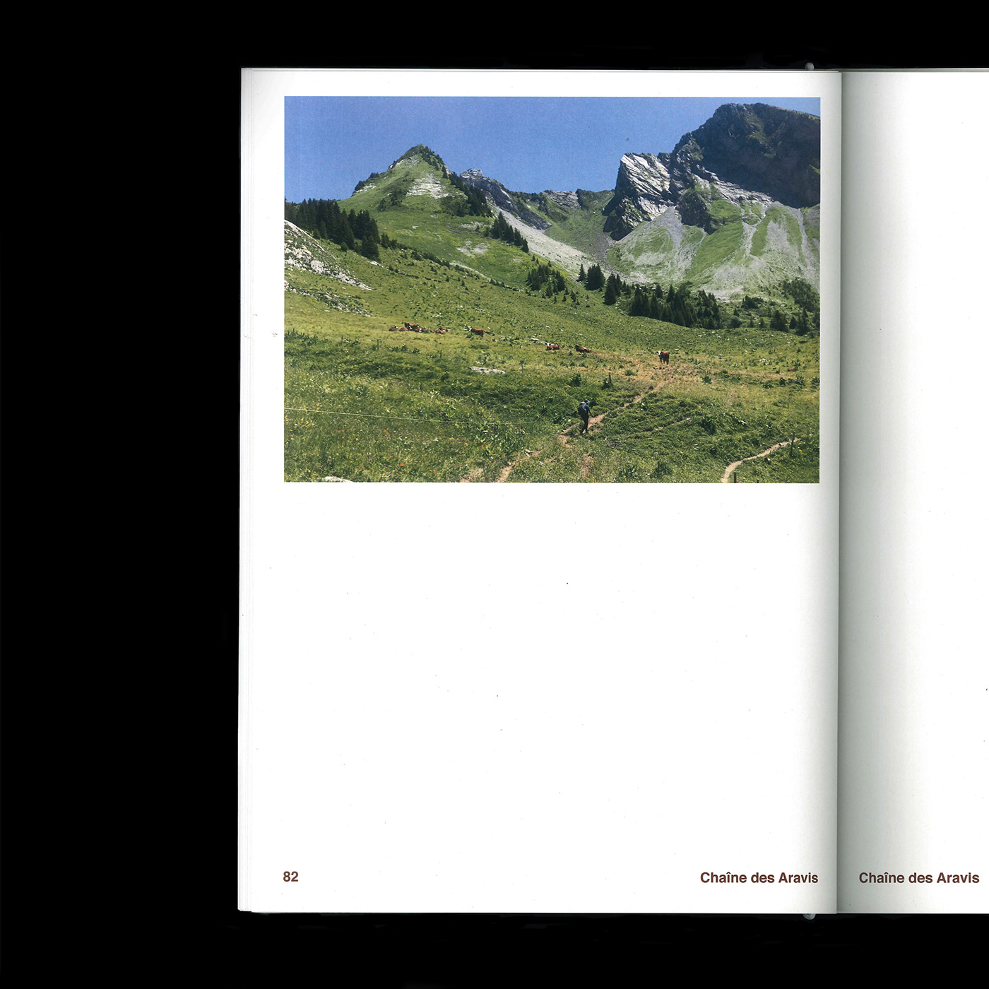 book design graphique edition editorial helvetica Nature Photography  print swiss wild