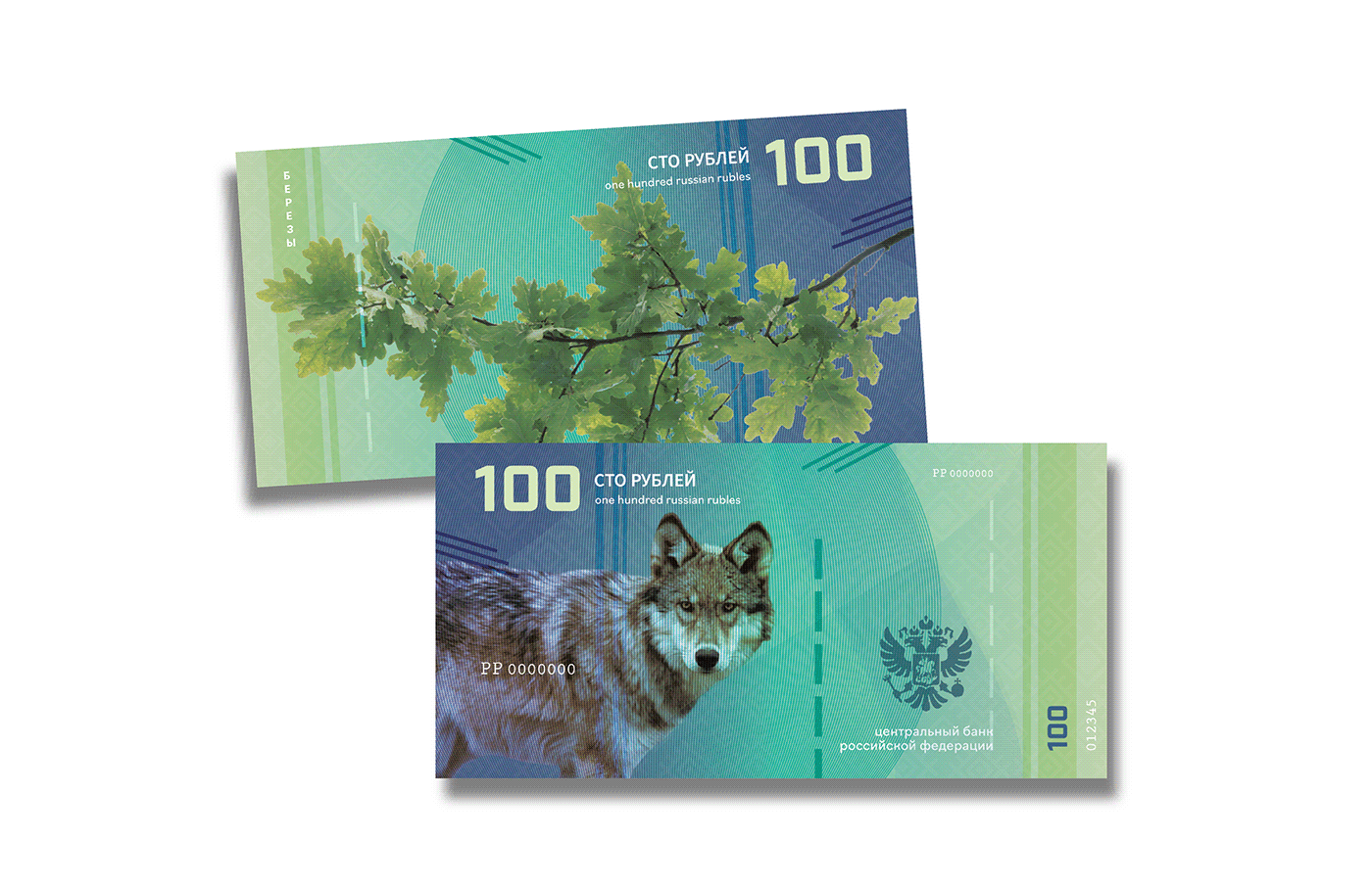 currency Banknote money design graphic design  adobe illustrator