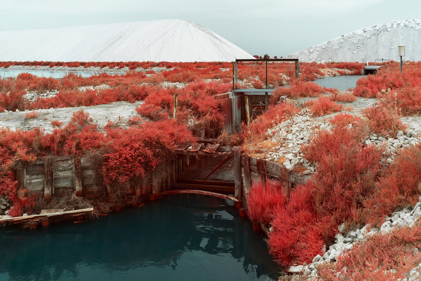 Aerochrome france heritage infrared infrared photography Landscape Nature Photography  salt marsh Travel