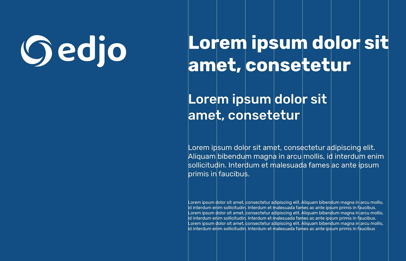interface design Switzerland studio web agency website agemcy branding  edjo team Logo Design Web Design 